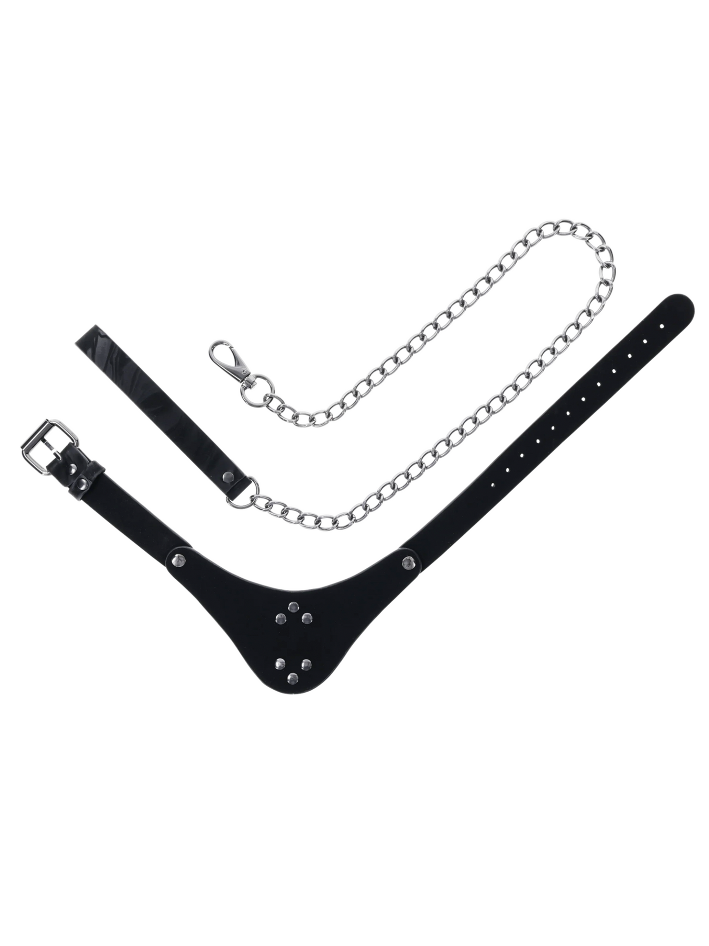 Back view of a Black Collar and Leash