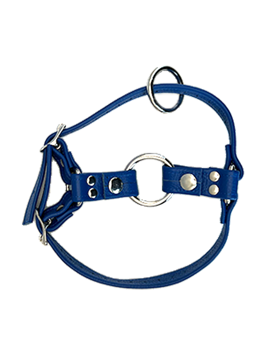 Unicorn Collaborators KickFucker Boot Harness