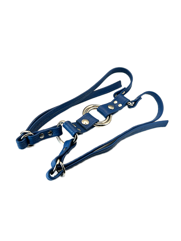 Unicorn Collaborators Thigh Harness