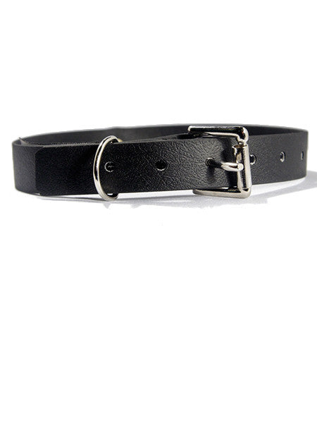 Aslan Leather Vegan Princess Collar Back View - Come As You Are