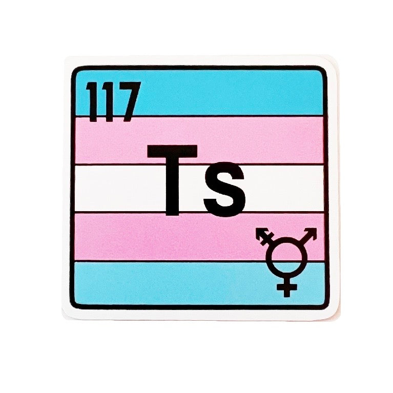 Trans Day of Visibility