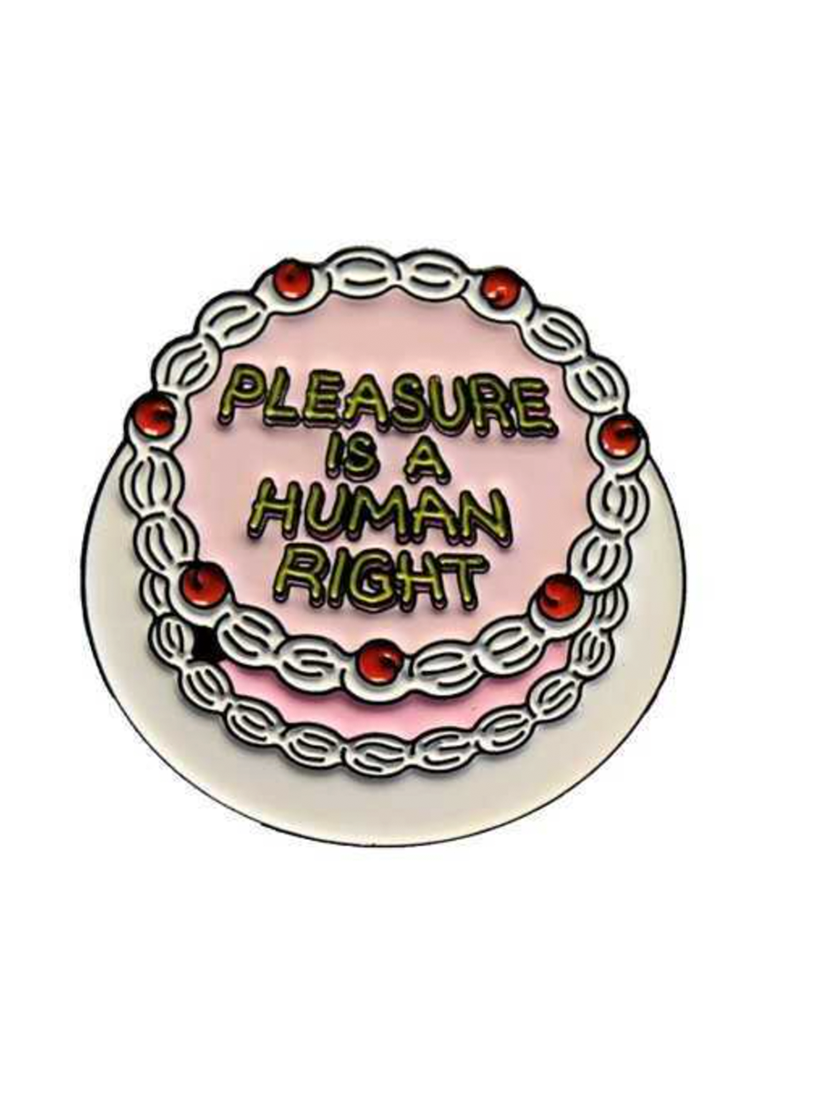 Pleasure Is A Human Right pin