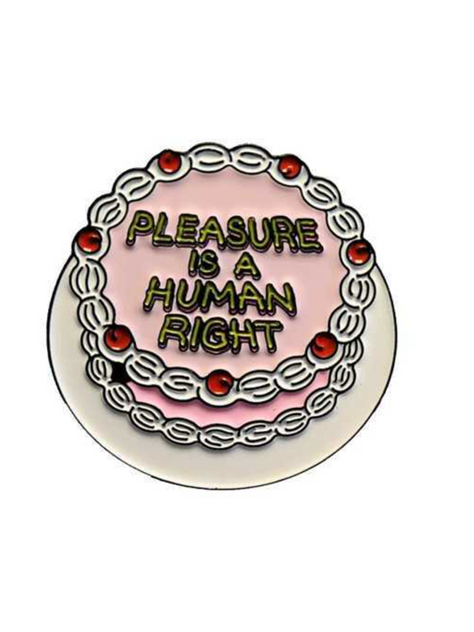 Pleasure Is A Human Right pin