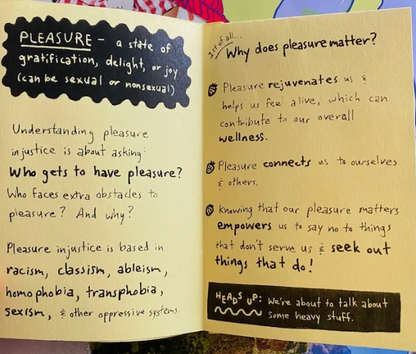 What Is Pleasure Injustice? Mini Zine