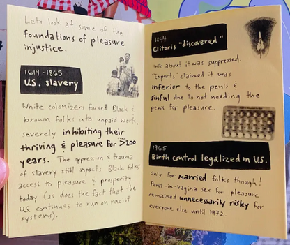 What Is Pleasure Injustice? Mini Zine