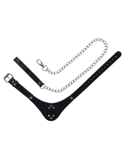 Back view of a Black Collar and Leash