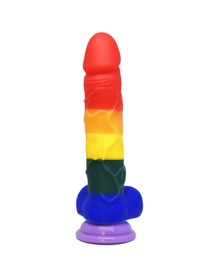 Another Gay Rainbow Dildo from fornt