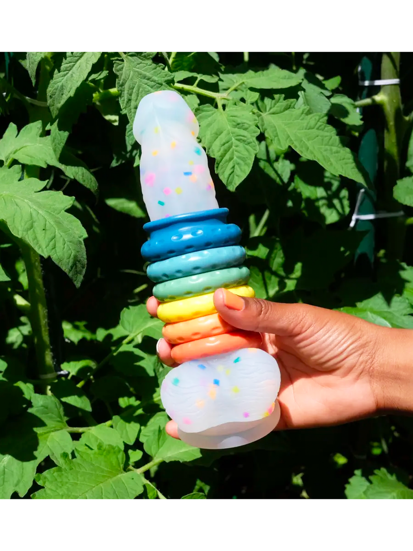 Ohnut Rings with Confetti Dildos