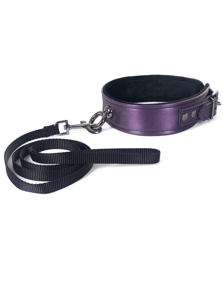 purple collar with black nylon leash