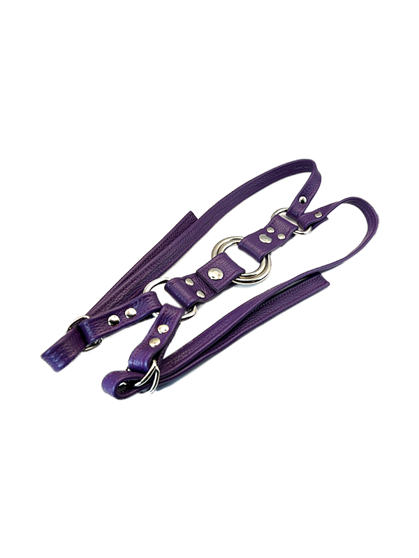 Unicorn Collaborators Thigh Harness