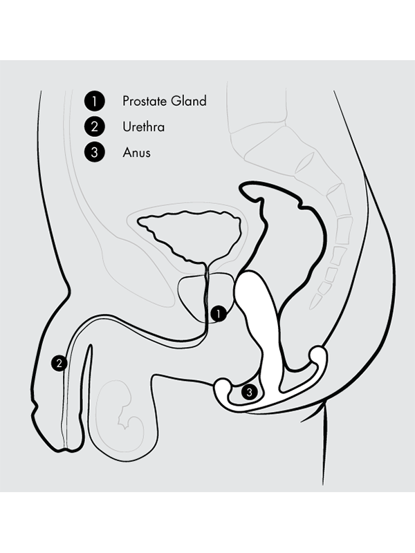 Aneros Vice 2 Prostate Vibrator Diagram - Come As You Are
