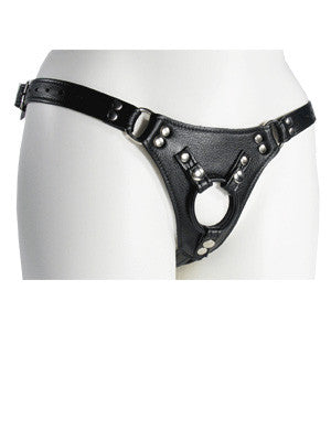 Aslan Leather Jaguar Harness from Front - Come As You Are