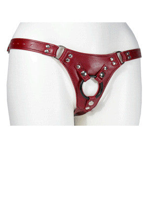 Aslan Leather Jaguar Cherry Harness - Come As You Are