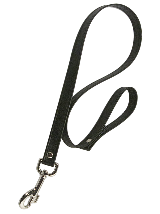 Aslan Leather 3' Leash - Come As You Are