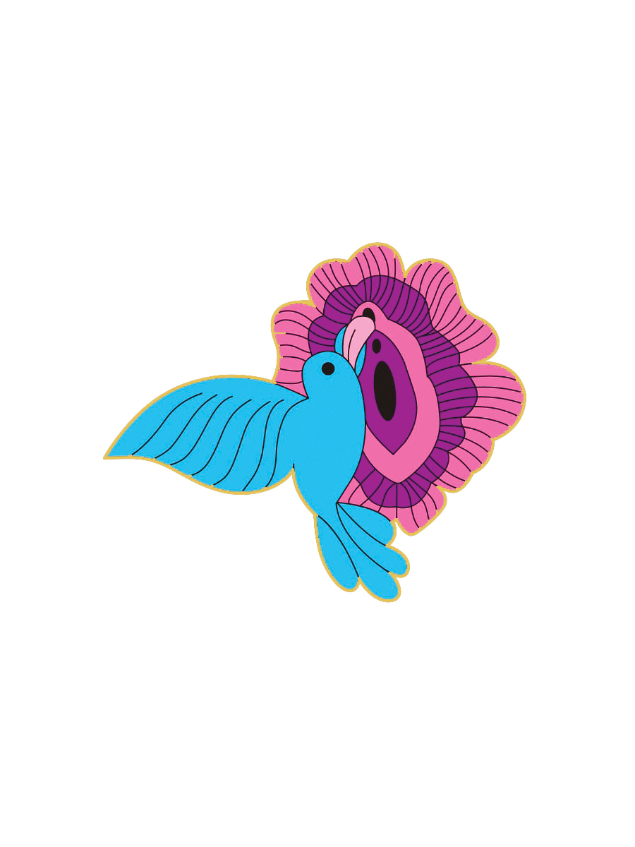 Hummingbird Illustration