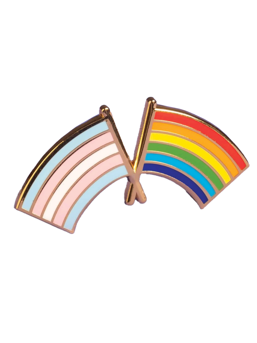 Trans & LGBTQ+ Pride Flags Pin